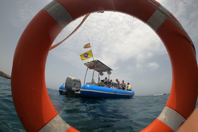 SEA SAFARI, Dolphins, Whales, snorkeling, snack and drink, 2 h speedboat - Is two hours enough?