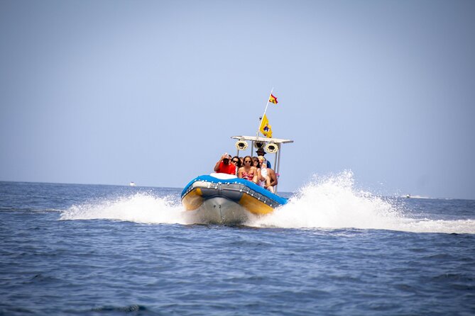 SEA SAFARI Dolphins,Whales, snorkeling, snack, drink, 3h private - A private start from Puerto Colón