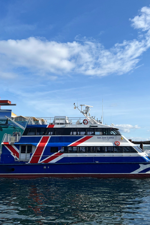 Seattle: Half-Day Wildlife and Whale Watching Cruise - What you may see on the water
