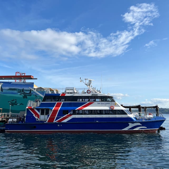 Seattle: Half-Day Wildlife and Whale Watching Cruise - Finding a viewing spot on a large boat