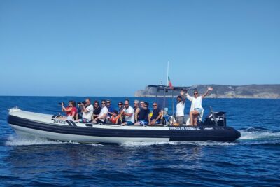 Arrábida Dolphin and Whale Watching tour with biologist