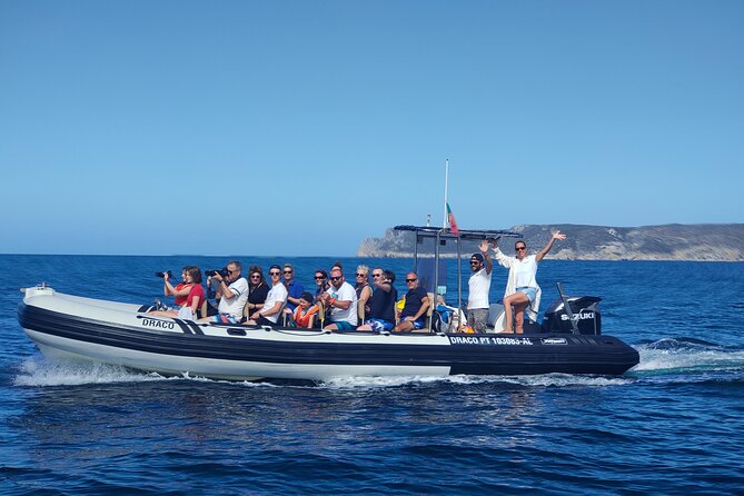 Sesimbra: Arrábida Dolphin and Whale Watching tour with biologist - Searching for dolphins and whales from 10:15 a.m.
