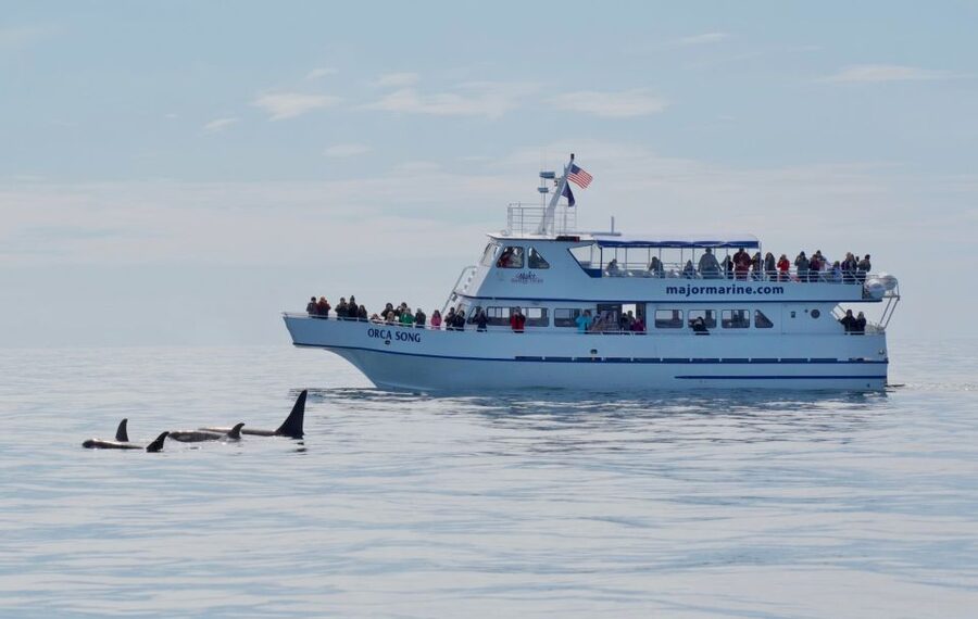 Seward: Resurrection Bay Orca Quest Cruise - Leaving Seward and entering Resurrection Bay
