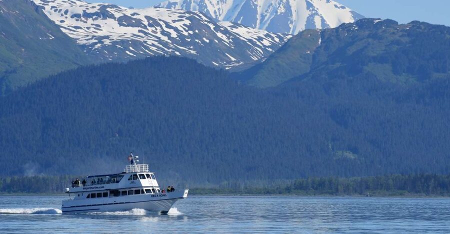 Seward: Resurrection Bay Orca Quest Cruise - The practical booking details