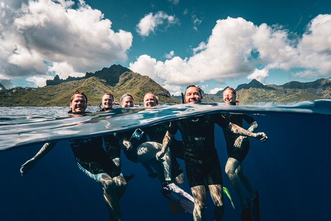 Shared Whale Expedition - Why Six People Makes a Difference