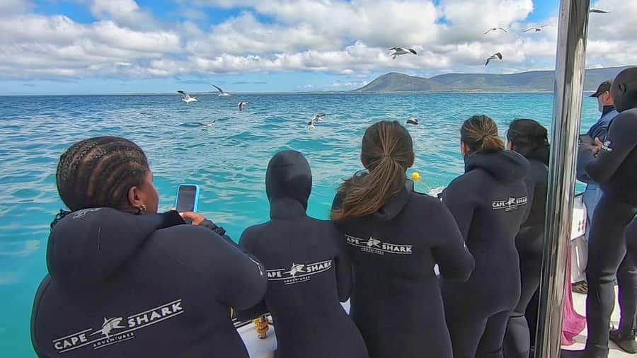 Shark & Whale Trip Combo - What the $283 price really buys you