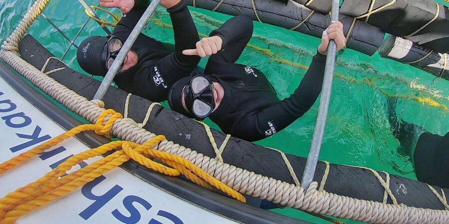 Shark & Whale Trip Combo - Booking flexibility and practical planning