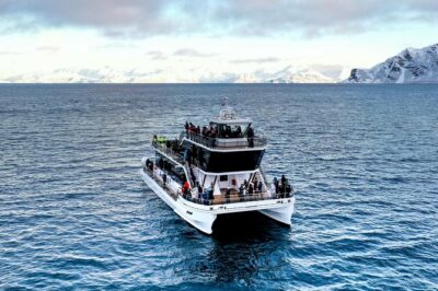 Silent Whale Watching by Hybrid-Electric Boat from Tromsø