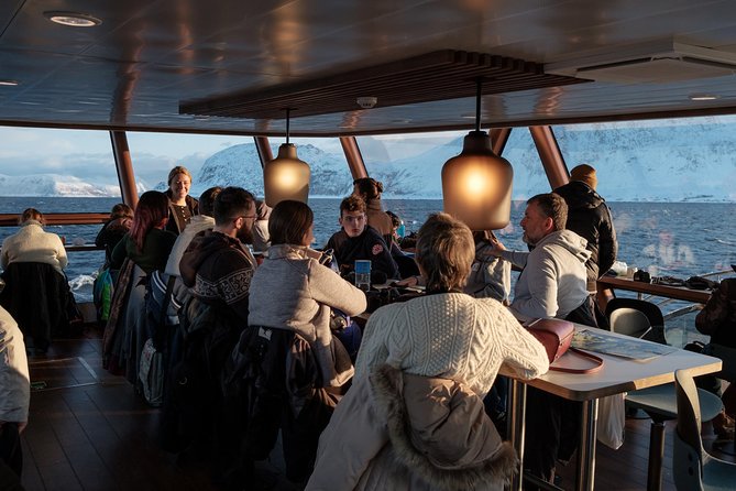 Silent Whale Watching by Hybrid-Electric Boat from Tromsø - The return past the Arctic Cathedral