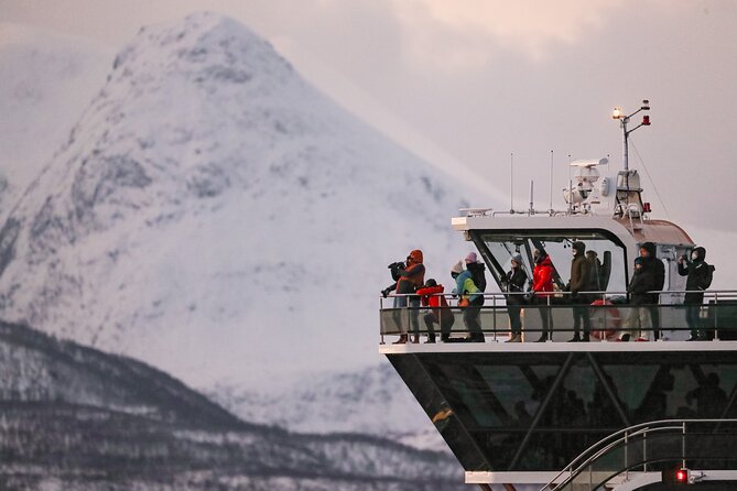 Silent Whale Watching by Hybrid-Electric Boat from Tromsø - Is $214.85 a fair price?