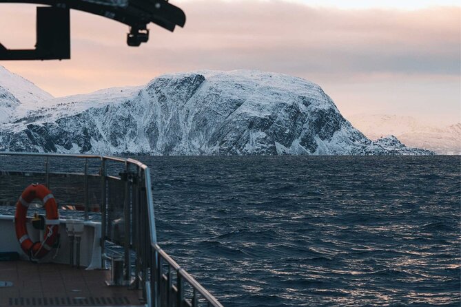 Silent Whale Watching on Hybrid-Electric Boat with Scenic Bustrip - The bus returns through a different Norway
