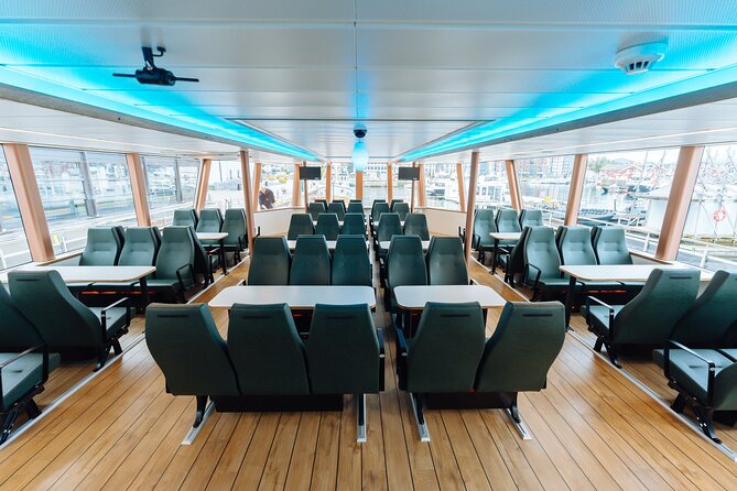 Silent Whale Watching on Hybrid-Electric Boat with Scenic Bustrip - Who will enjoy the slow pace