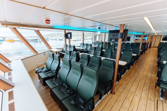 Silent Whale Watching on Hybrid-Electric Boat with Scenic Bustrip - Weather, cancellations, and practical planning