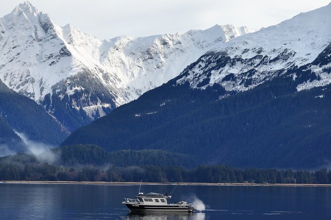 Sitka Premier Whale Watching and Wildlife Tour - Who should book this tour?
