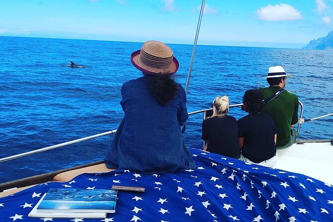 Small Group Boat Whale and Dolphin Watching Tour - A picnic on the water, then Las Salinas beach