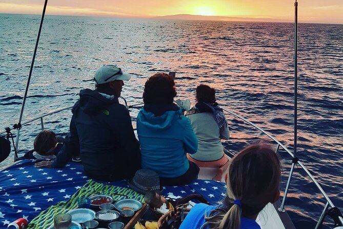 Small Group Boat Whale and Dolphin Watching Tour - The value of $58.05 per person