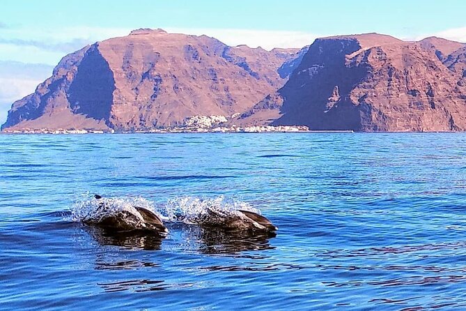 Small Group Boat Whale and Dolphin Watching Tour - Booking, weather, and cancellation details
