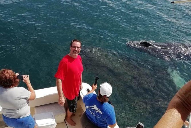 Small-Group Half-Day Whale-Watching Tour in Puerto Vallarta - Lunch after several hours on the water