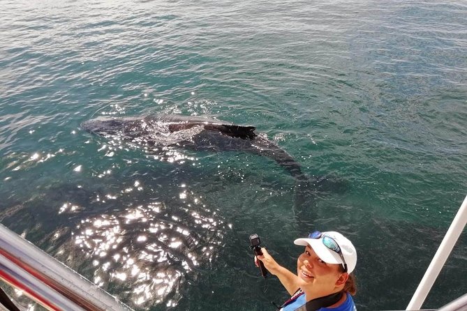 Small-Group Half-Day Whale-Watching Tour in Puerto Vallarta - Who should book this whale-watching trip?