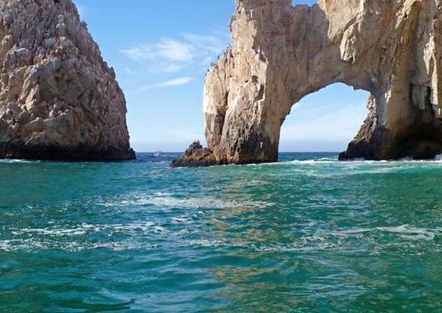 SMALL GROUP Whale Watch | Cabo San Lucas | Biologist | FREE Pics - Why this Cabo whale watch feels different