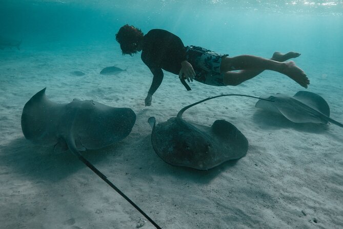 Snorkeling Lagoon Cruise and Whale Watching in Moorea - Who will enjoy this Moorea cruise?