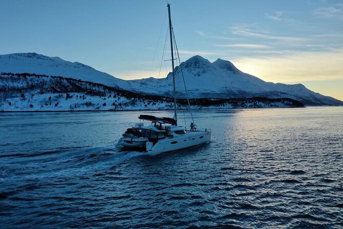 Snorkeling with Orcas In Norway, 4 days All-Inclusive expedition - Is the $3,542.91 price fair?