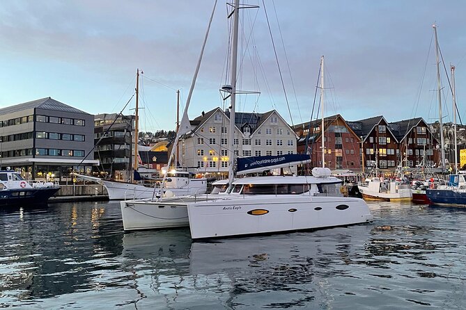 Snorkeling with Orcas In Norway, 4 days All-Inclusive expedition - Who should book this expedition?
