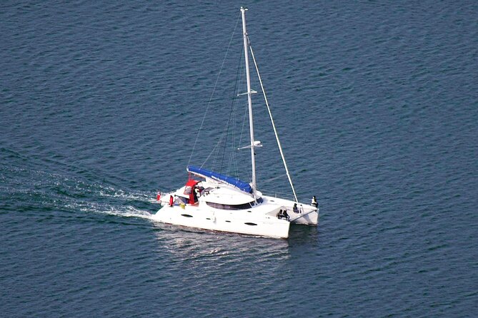 Snorkeling with Orcas In Norway, 4 days All-Inclusive expedition - Why the catamaran changes the trip