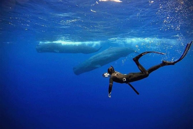 Snorkeling with Whales in Mirissa - Leaving Mirissa Beach in a small boat