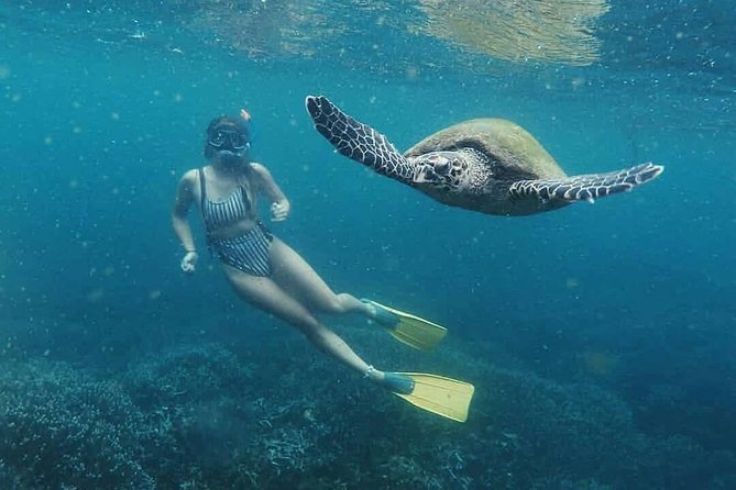 Snorkeling with Whales in Mirissa - What the included extras are really worth