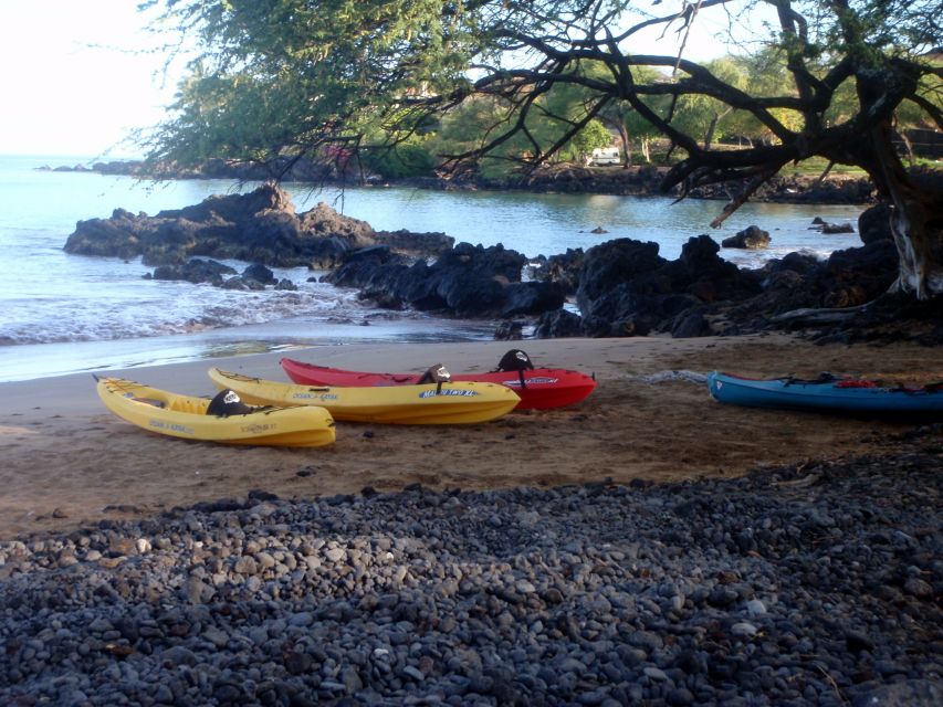 South Maui: Whale Watch Kayaking and Snorkel Tour in Kihei - Should you book the Makena Landing kayak tour?