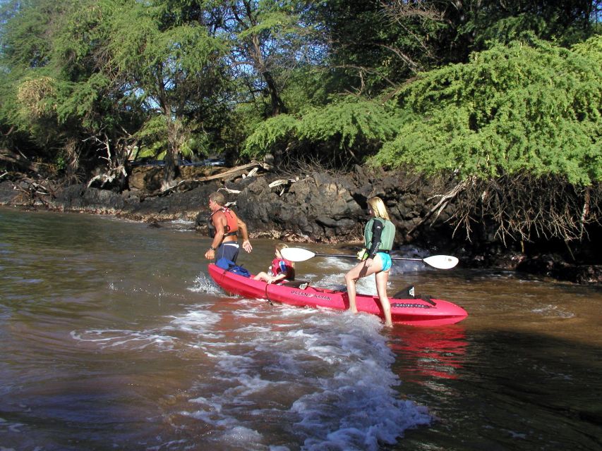 South Maui: Whale Watch Kayaking and Snorkel Tour in Kihei - The launch and safety briefing