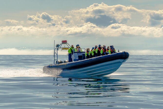 Speedboat Whale Watching Small-Group Tour in Reykjavik - Leaving Reykjavik beside Sun Voyager