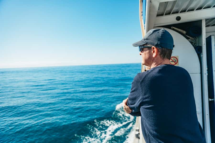 Spirit of Gold Coast 2.5-Hour Whale Watching Tour - Key points at a glance