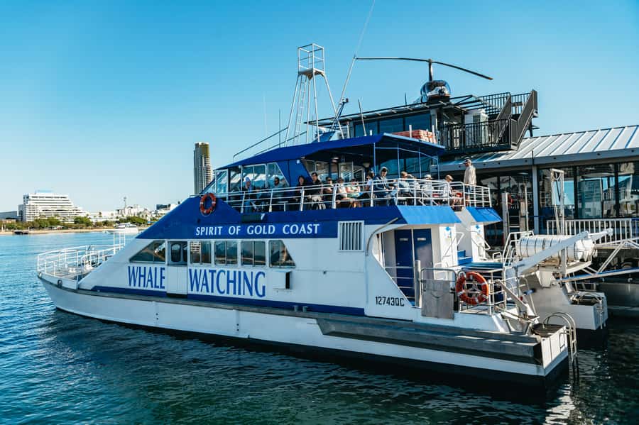 Spirit of Gold Coast 2.5-Hour Whale Watching Tour - Setting out from the Broadwater in Southport
