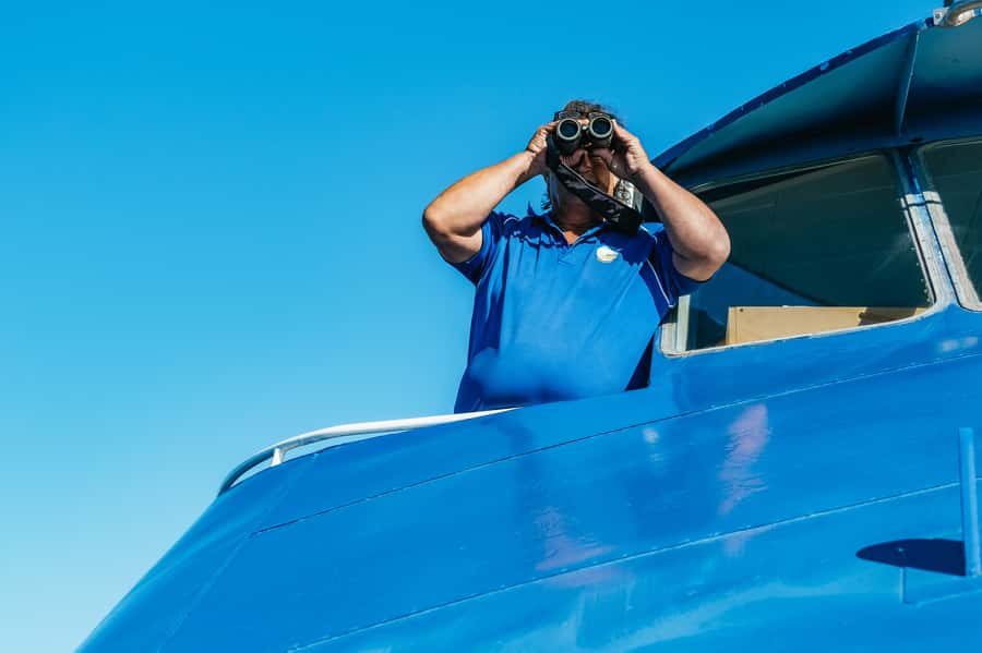 Spirit of Gold Coast 2.5-Hour Whale Watching Tour - The boat, viewing areas, and comfort