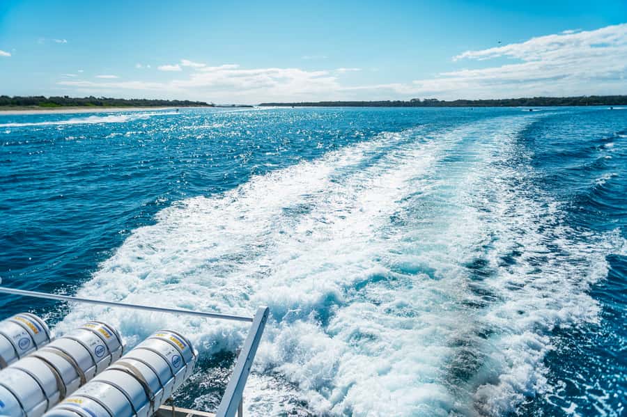 Spirit of Gold Coast 2.5-Hour Whale Watching Tour - Commentary from Captain Dean and the marine team