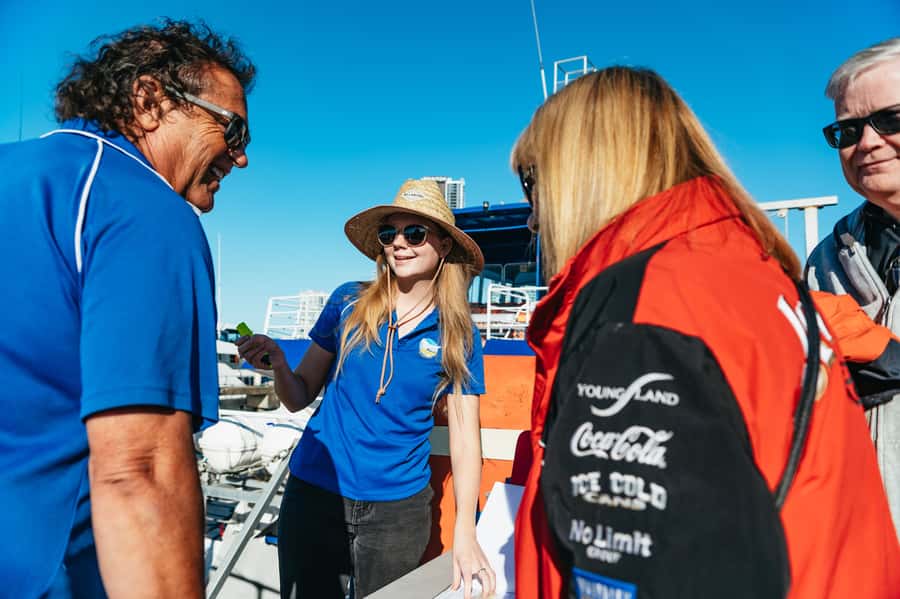 Spirit of Gold Coast 2.5-Hour Whale Watching Tour - When this tour suits you best