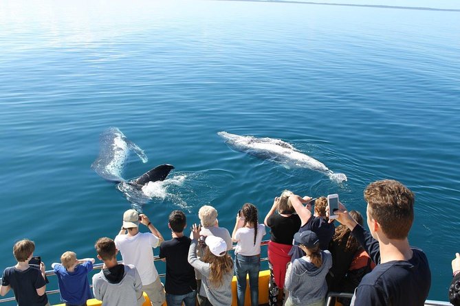 Spirit of Hervey Bay Whale Watching Cruise - Tea, coffee, and the practical comforts