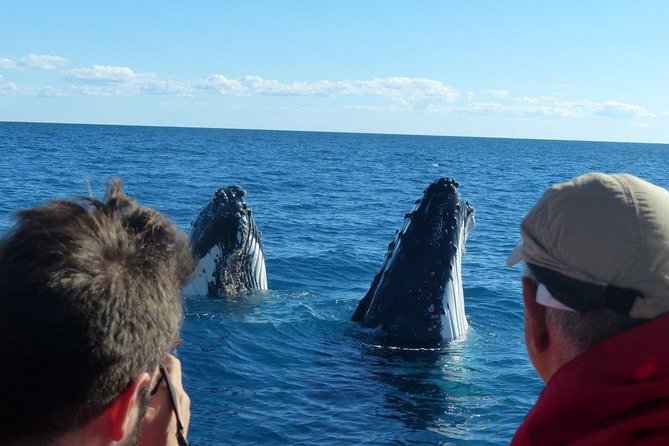 Spirit of Hervey Bay Whale Watching Cruise - The ride across Platypus Bay