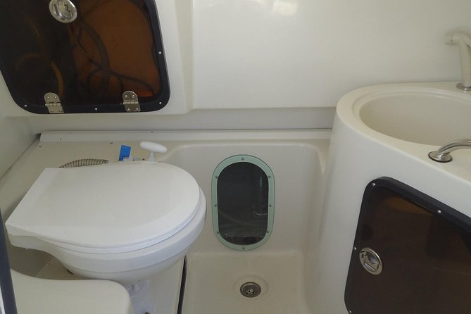 Sports Boat- Private Whale Watching Trip( free breakfast & paid pick-up) - The sports boat, seating, and comfort