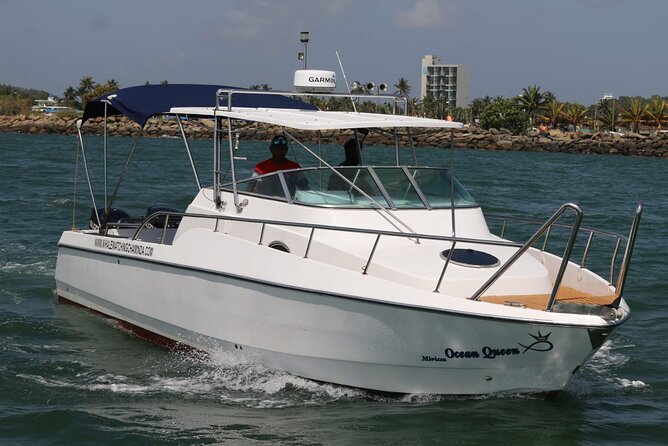 Sports Boat- Private Whale Watching Trip( free breakfast & paid pick-up) - Meeting in Mirissa at 7:00 am