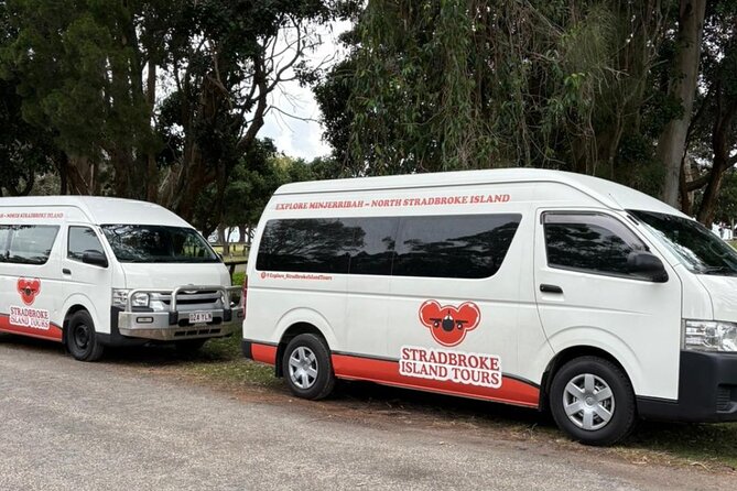 Stradbroke Island Eco Day Trip from Brisbane – Wildlife & Beaches - Amity Point is the best stop for koalas