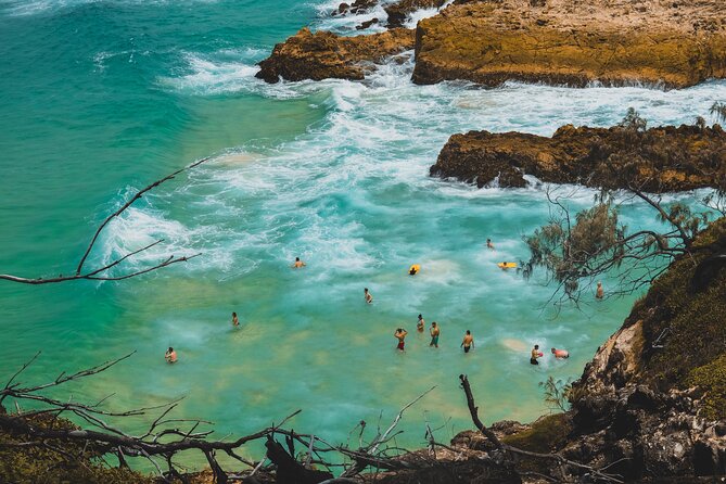 Stradbroke Island Eco Day Trip from Brisbane – Wildlife & Beaches - Guides make the difference in a small group