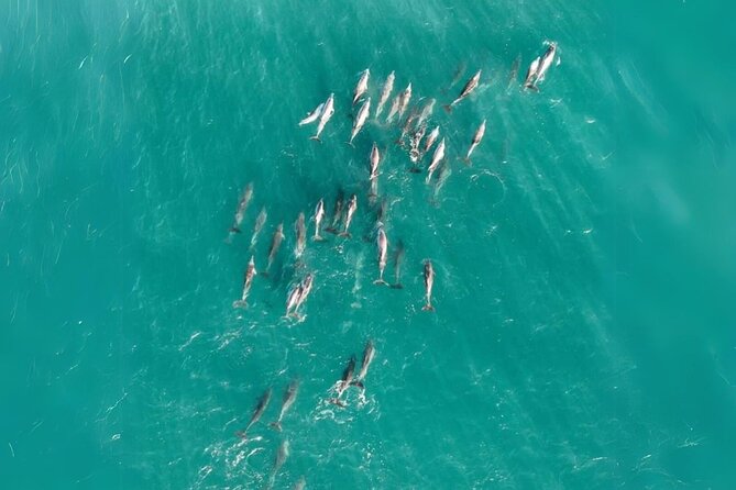 Stradbroke Island Eco Day Trip from Brisbane – Wildlife & Beaches - North Gorge Walk puts the cliffs first