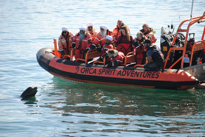 Summer Whale Watching Tour in a Zodiac Boat in Victoria - The Price: $144.30 for a High-Energy Morning or Afternoon