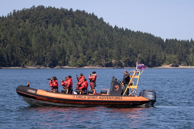 Summer Whale Watching Tour in a Zodiac Boat in Victoria - Staying Warm, Dry, and Upright