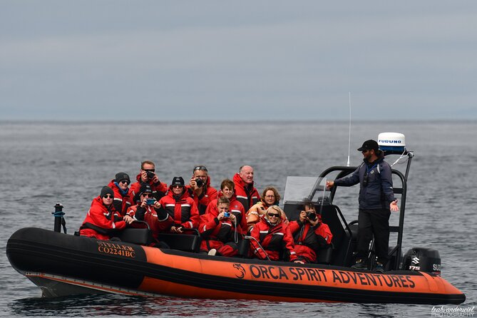 Summer Whale Watching Tour in a Zodiac Boat in Victoria - Timing, Meeting Point, and Cruise-Day Planning