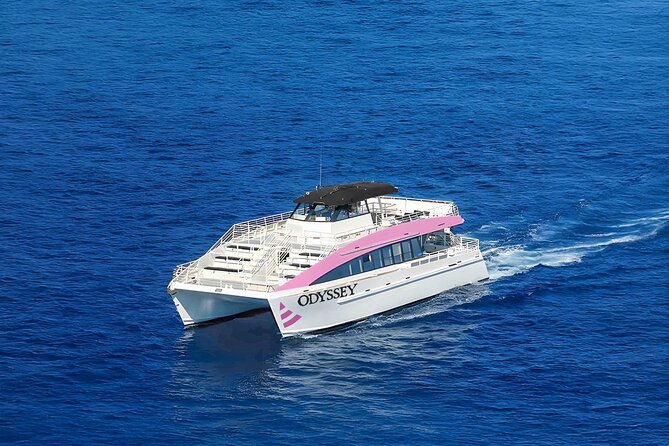 Sunset Cruise & Whale Watching from Oahu - Crew style: friendly, funny, and useful