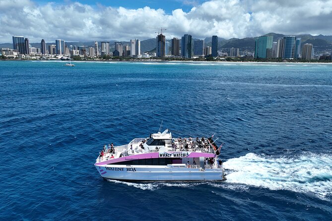 Sunset Cruise & Whale Watching from Oahu - Waves, wind, and what to wear